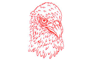 Logo der Adler-Apotheke Ruhrort