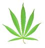 Cannabisblatt Bild von manwalk / pixelio.de