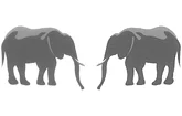 Logo Elefanten-Apotheke
