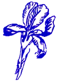 Logo Iris-Apotheke