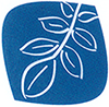 Logo Nußbaum-Apotheke