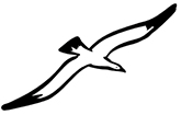 Logo der Möwen-Apotheke