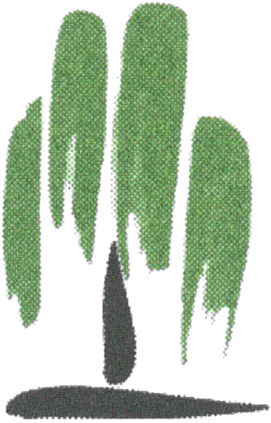 Logo der Auen-Apotheke